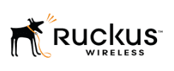 Rukus Wireless brand logo